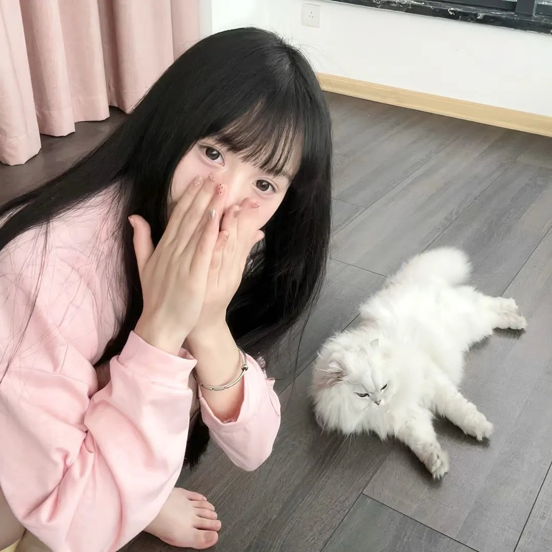 悲惨的节日
